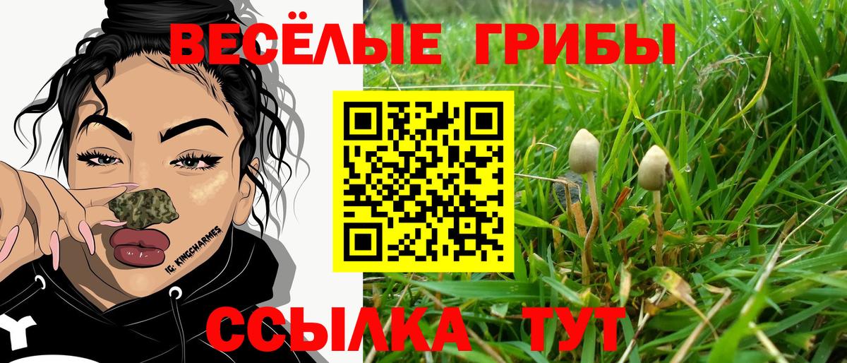 Галлюциногенные грибы ЛСД Новый Уренгой