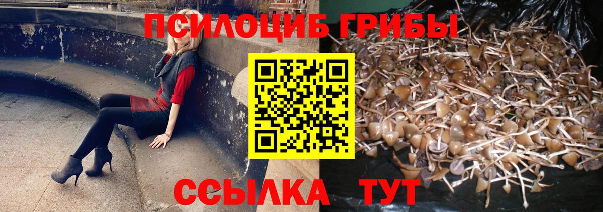 Псилоцибиновые грибы прущие грибы  Вход с VPN  Новый Уренгой 